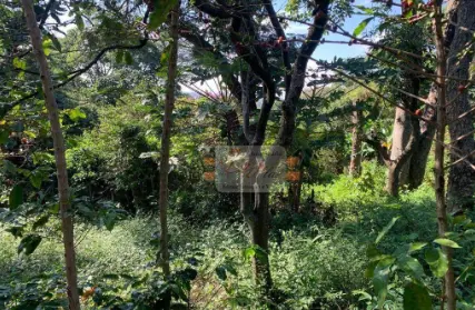 Imagem: Terreno para Venda, Vila Clarice