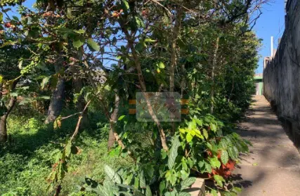Imagem: Terreno para Venda, Vila Clarice
