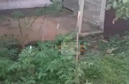 Imagem: Casa Térrea para Venda, Vila Clarice