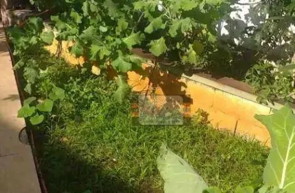 Imagem: Casa Térrea para Venda, Vila Clarice