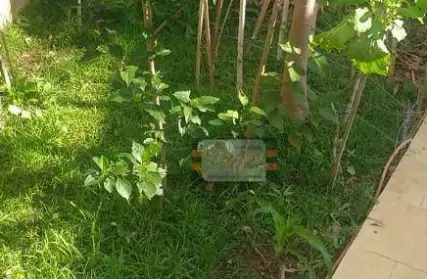 Imagem: Casa Térrea para Venda, Vila Clarice