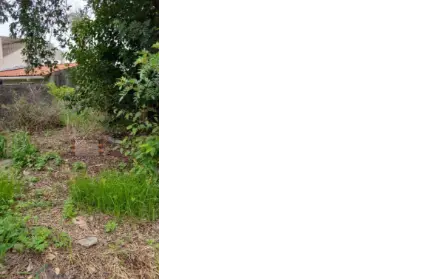 Imagem: Terreno para Venda, Piqueri