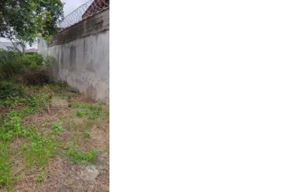 Imagem: Terreno para Venda, Piqueri