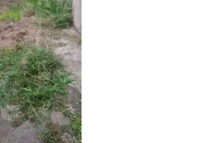 Imagem: Terreno para Venda, Piqueri