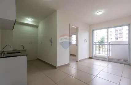 Imagem: Apartamento para Venda, Vila Butantã