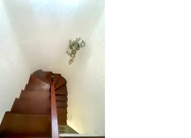 Imagem: Casa Térrea para Venda, City Pinheirinho