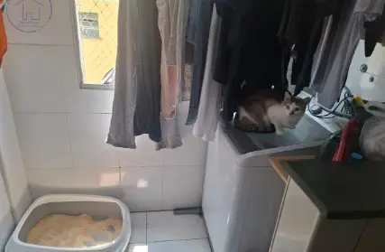 Imagem: Apartamento para Venda, Conceição