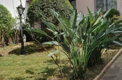 Imagem: Casa Térrea para Venda, Brooklin Novo