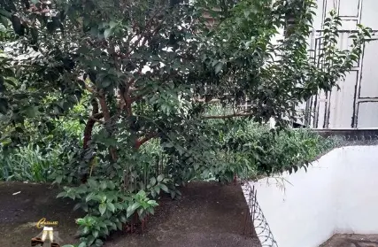 Imagem: Terreno para Venda, Vila Gumercindo