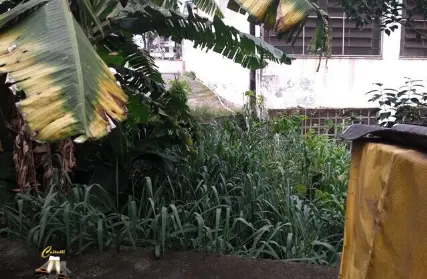 Imagem: Terreno para Venda, Vila Gumercindo