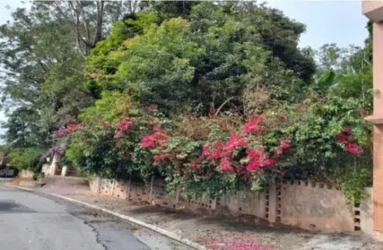 Imagem: Terreno para Venda, Parque do Lago