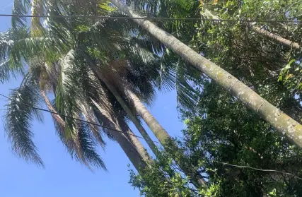 Imagem: Casa Térrea para Venda, Jardim Taboão