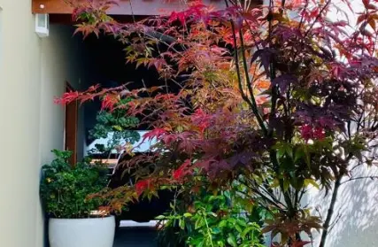 Imagem: Casa Térrea para Venda, Planalto Paulista