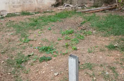 Imagem: Sobrado para Alugar, Vila Mira