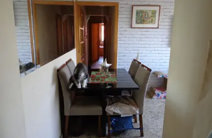 Imagem: Apartamento para Venda, Vila Fachini