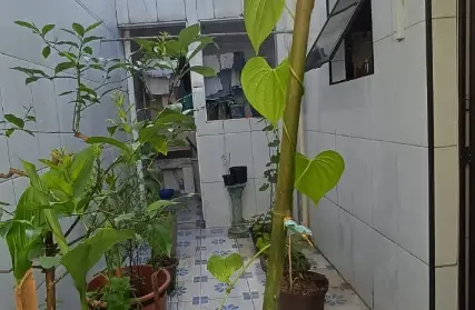 Imagem: Sobrado para Venda, Jardim Clímax