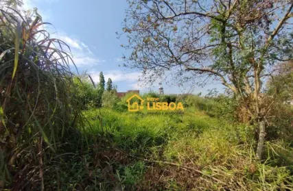 Imagem: Terreno para Alugar, Jardim Elizabeth