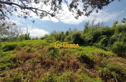 Imagem: Terreno para Alugar, Jardim Elizabeth