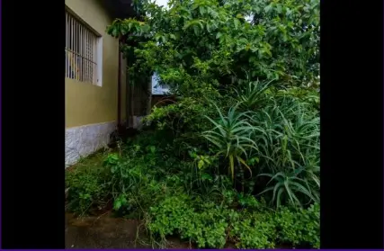 Imagem: Casa Térrea para Venda, Jardim da Saúde