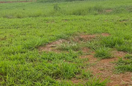 Imagem: Terreno para Venda, Vila Prel