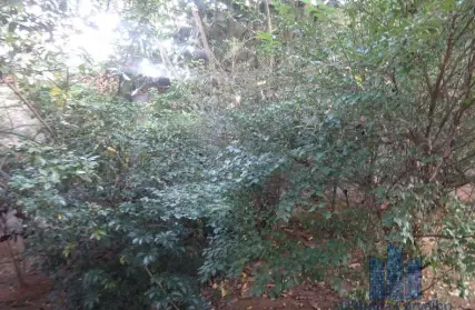 Imagem: Apartamento para Alugar, Planalto Paulista