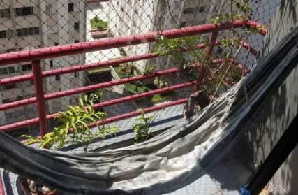 Imagem: Apartamento para Venda, Moema