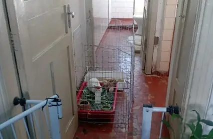 Imagem: Casa Térrea para Venda, Ipiranga