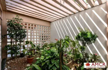 Imagem: Casa Térrea para Alugar, Jardim da Saúde
