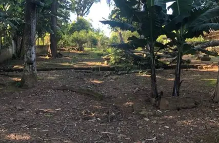 Imagem: Chácara / Sítio para Venda, Embura