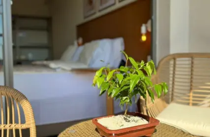 Imagem: Apartamento para Alugar, Sacomã