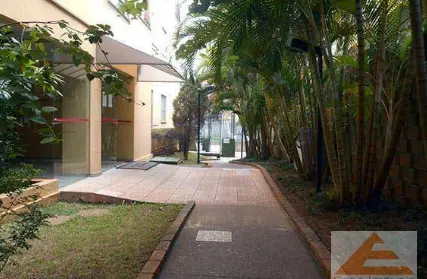 Imagem: Apartamento para Alugar, Fazenda Morumbi