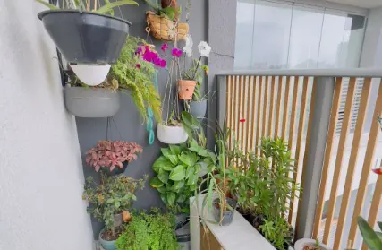 Imagem: Apartamento para Venda, Vila Clementino