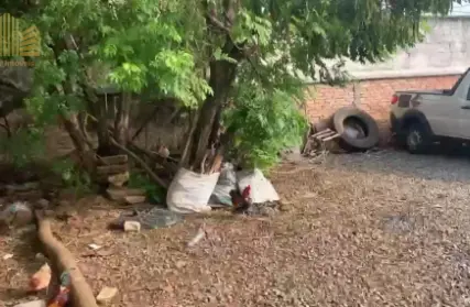 Imagem: Casa Térrea para Venda, Saúde