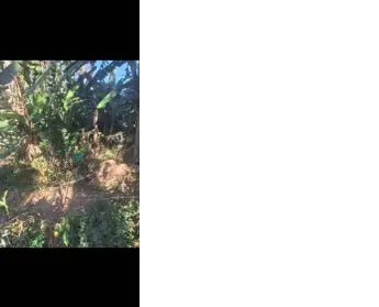 Imagem: Terreno para Venda, Sete Praias