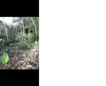 Imagem: Terreno para Venda, Sete Praias