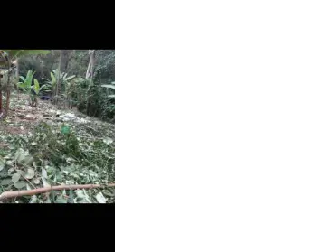 Imagem: Terreno para Venda, Sete Praias
