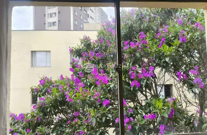 Imagem: Apartamento para Venda, Jardim Patente Novo