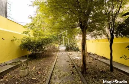 Imagem: Casa Térrea para Alugar, Vila Cordeiro