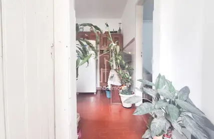 Imagem: Casa Térrea para Alugar, Bosque da Saúde