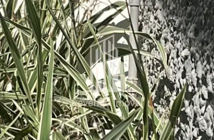 Imagem: Sobrado para Alugar, Vila Clementino