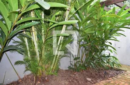 Imagem: Casa Térrea para Venda, Jardim Europa