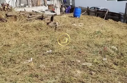 Imagem: Terreno para Venda, Vila Sônia (Zona Sul)