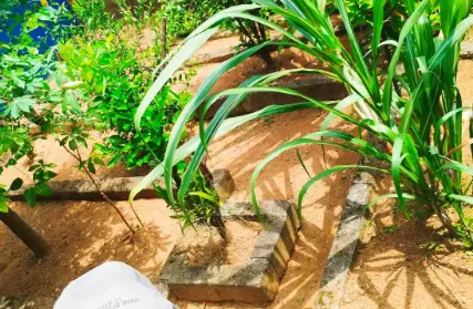 Imagem: Sobrado para Venda, Jardim Santa Margarida