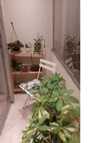 Imagem: Apartamento para Venda, Jardim Nosso Lar
