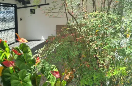 Imagem: Casa Térrea para Venda, Vila Monumento