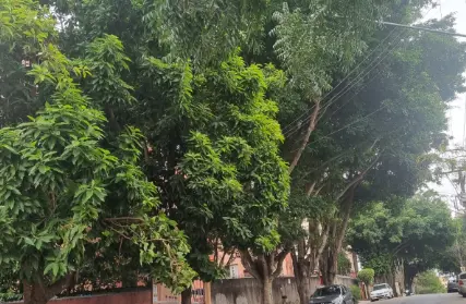 Imagem: Apartamento para Venda, Jardim Ubirajara (Zona Sul)