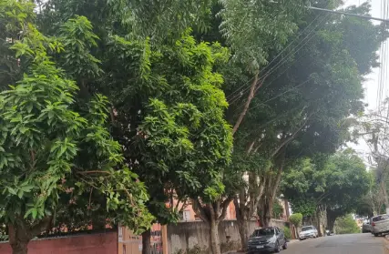 Imagem: Apartamento para Venda, Jardim Ubirajara (Zona Sul)