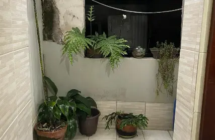 Imagem: Casa Térrea para Venda, Vila Missionária