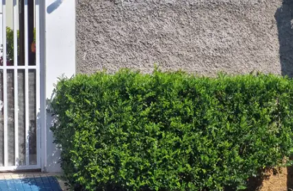 Imagem: Sobrado para Venda, Vila Arriete