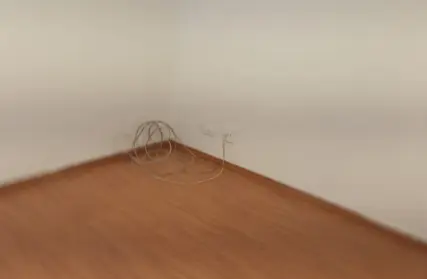 Imagem: Apartamento para Alugar, Vila Santa Catarina